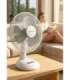 Esperanza EHF003WE, 12'' desk fan, White and Gray