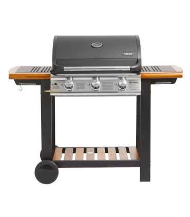 GAASIGRILL HECHT FIREWOOD 3