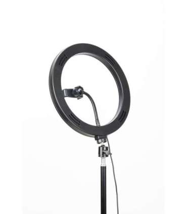 Tripod Havit ST7012 Pro with light ring