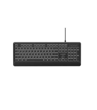 GEMBIRD SLIM WIRED BACKLIGHT KEYBOARD BLACK, US LA