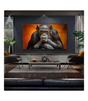 Telewizor 65" LG OLED65G54LW