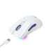 Havit MS966WB - gaming wireless mouse, white