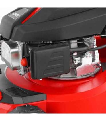 Muruniiduk HECHT 5408