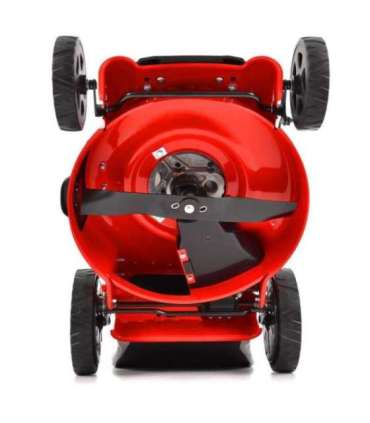 Muruniiduk Hecht 546 BSW