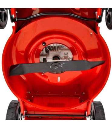 Muruniiduk HECHT 546