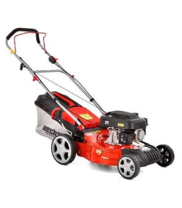 Muruniiduk HECHT 546