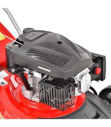 Muruniiduk HECHT 543