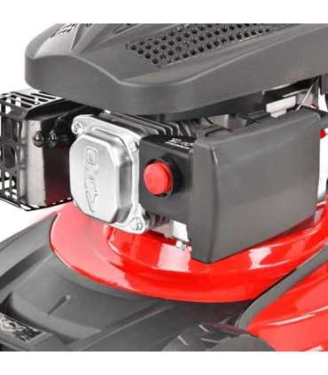 Muruniiduk HECHT 543