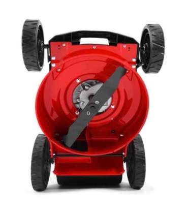 Muruniiduk HECHT 543