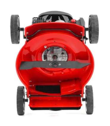 Muruniiduk HECHT 546 C