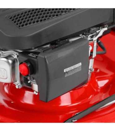 Muruniiduk HECHT 546 C