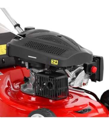 Muruniiduk HECHT 546 C