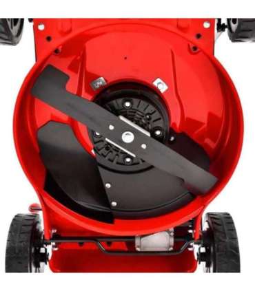 Akuga muruniiduk HECHT 5041