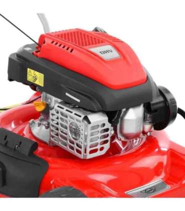 Muruniiduk HECHT 5511 C