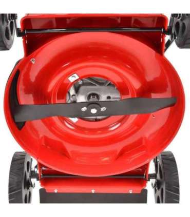 Muruniiduk HECHT 5511 C