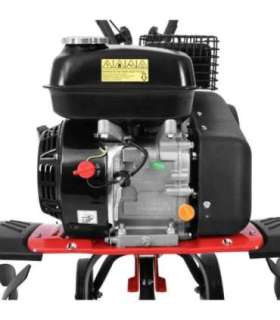 MULLAFREES HECHT 785