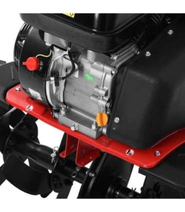 MULLAFREES HECHT 785