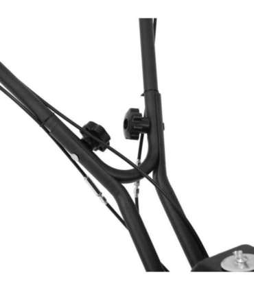 MULLAFREES HECHT 785