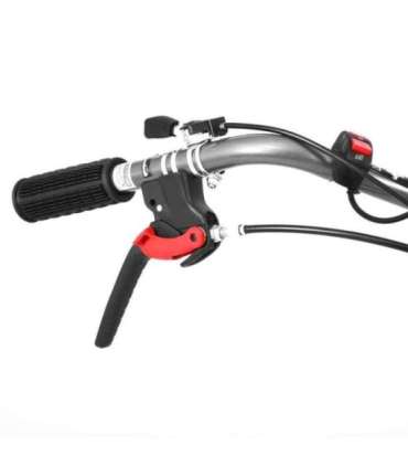 MULLAFREES HECHT 7970