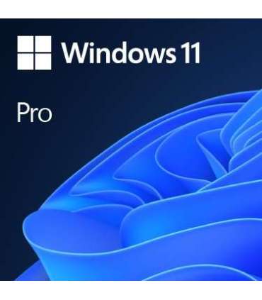 Win 11 Pro 64Bit Eng Intl 1pk DSP OEI DVD