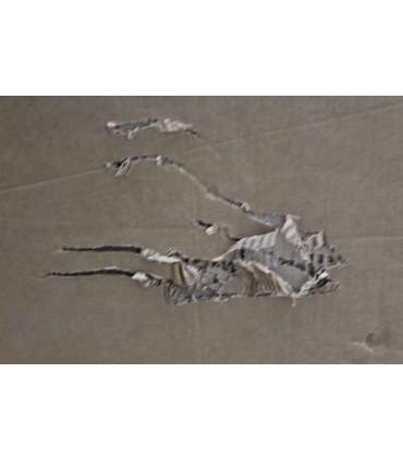 SALE OUT. LG 65QNED80A3A 65 Smart TV webOS UHD DAMAGED PACKAGING