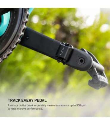 Fixed Cadence/Speed Sensor Spin Bluetooth Black