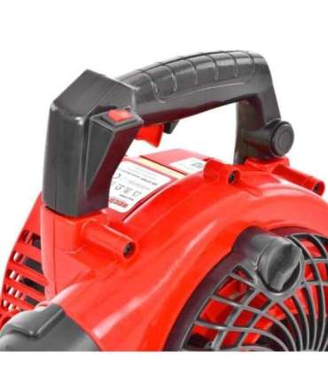 Leheimur/ lehepuhur HECHT 9254