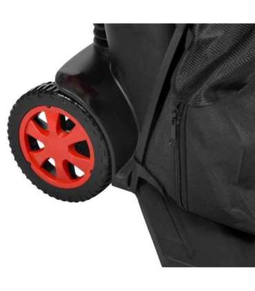 Leheimur/ lehepuhur HECHT 3113