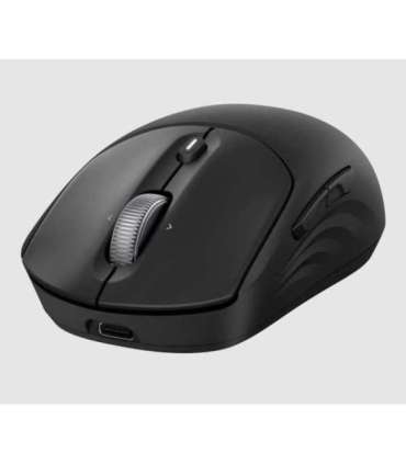HP 700 Rechargeable Wireless Mouse