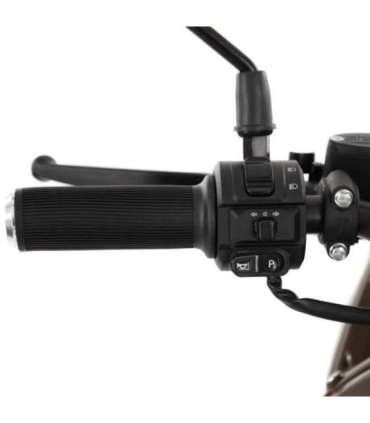 Neljarattaline elektriroller HECHT ELEGANTE