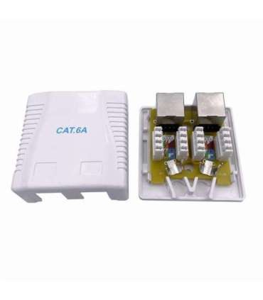 CABLE ACC MOUNT BOX CAT6A FTP/2P NCAC-2F6A-01 GEMBIRD