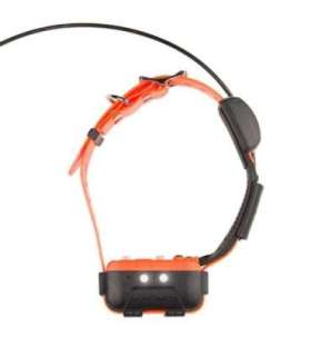 Canicom GPS2