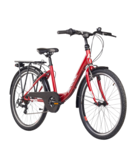 Laste jalgratas S'COOL chiX, 24" Red/White
