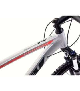 Jalgratas Romet Rambler R7.4 2025 silver-red-graphite-20" / L