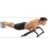 Doorway Pull Up Bar 26x55x93 cm (DY-872)