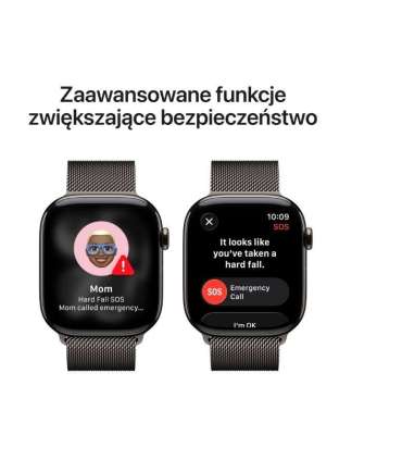 Watch Series 11 GPS + Cellular 46mm Slate Titanium Case with Slate Milanese Loop M/L