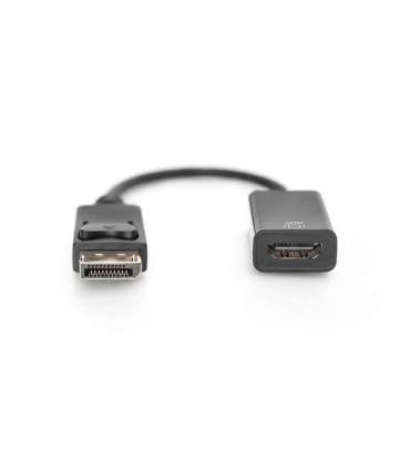 Adapter Cable Displayport 1080p 60Hz
