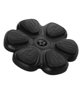 TB12 INTELLIGENT MUSIC BOXING MACHINE BLUETOOTH WITH GLOVES HMS