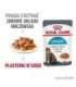 ROYAL CANIN Urinary Care in Gravy 12x85g