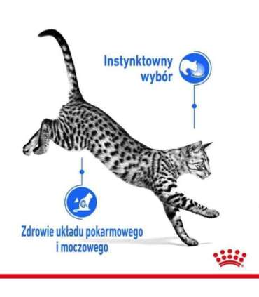ROYAL CANIN FHN Indoor jelly - wet food for adult cats - 12x85g