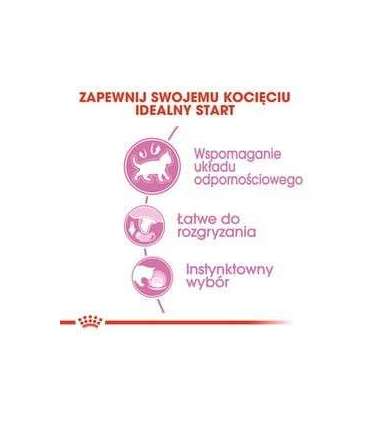 Royal Canin FHN Kitten Instinctive in sauce - wet food for kittens - 12x85g