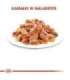 Royal Canin FHN Kitten Instinctive in sauce - wet food for kittens - 12x85g