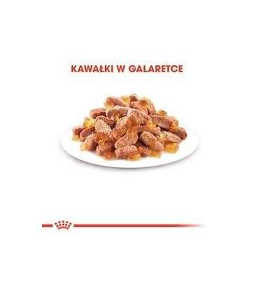 Royal Canin FHN Kitten Instinctive in sauce - wet food for kittens - 12x85g