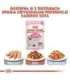 Royal Canin FHN Kitten Instinctive in sauce - wet food for kittens - 12x85g