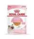 Royal Canin FHN Kitten Instinctive in sauce - wet food for kittens - 12x85g