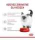 Royal Canin FHN Kitten Instinctive in sauce - wet food for kittens - 12x85g
