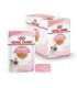 Royal Canin FHN Kitten Instinctive in sauce - wet food for kittens - 12x85g