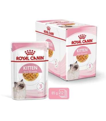 Royal Canin FHN Kitten Instinctive in sauce - wet food for kittens - 12x85g