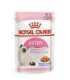 Royal Canin FHN Kitten Instinctive in sauce - wet food for kittens - 12x85g