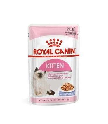 Royal Canin FHN Kitten Instinctive in sauce - wet food for kittens - 12x85g